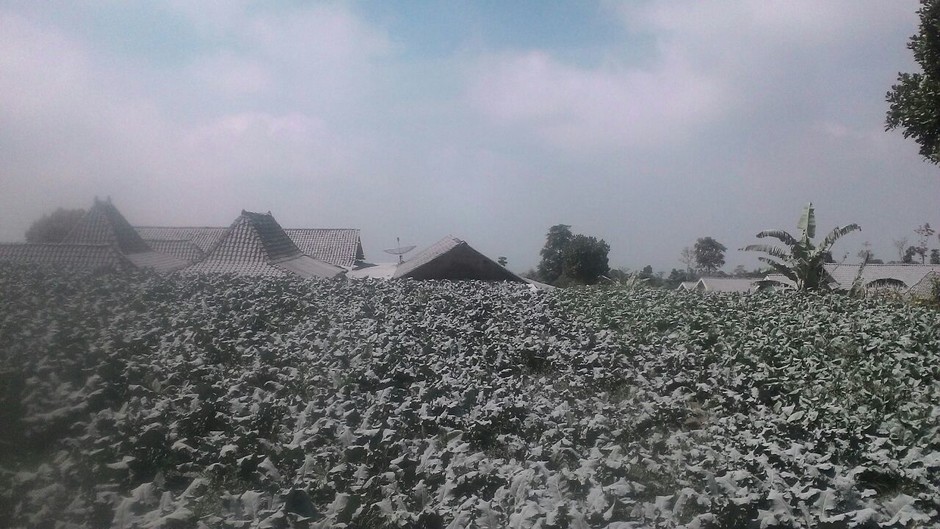 Ash cloud in Tlogolele Village