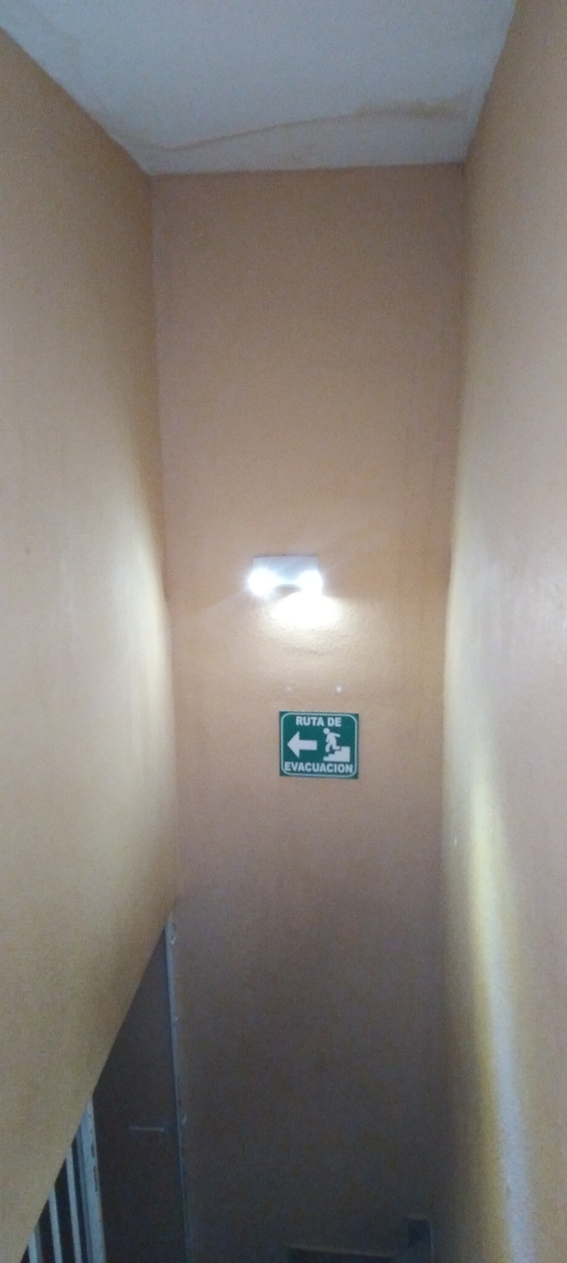 As you walk Downstairs, you need not look hard to see that the Ceiling Leaks there, as well.