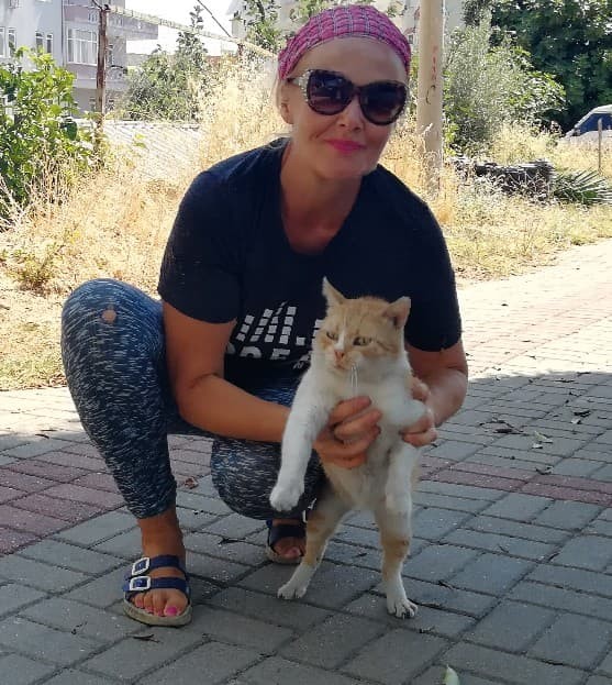 Feeding Cats In Turkey