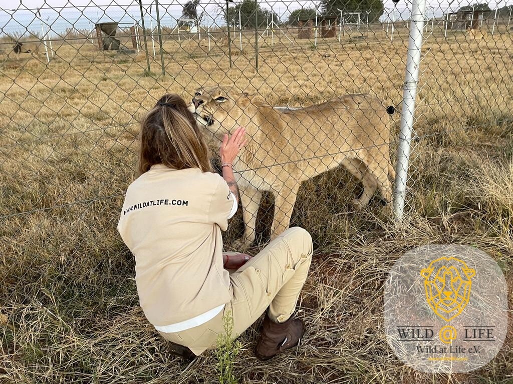 Eva and Aslihan (founder of Wild at Life e.V.) at the canned hunting farm