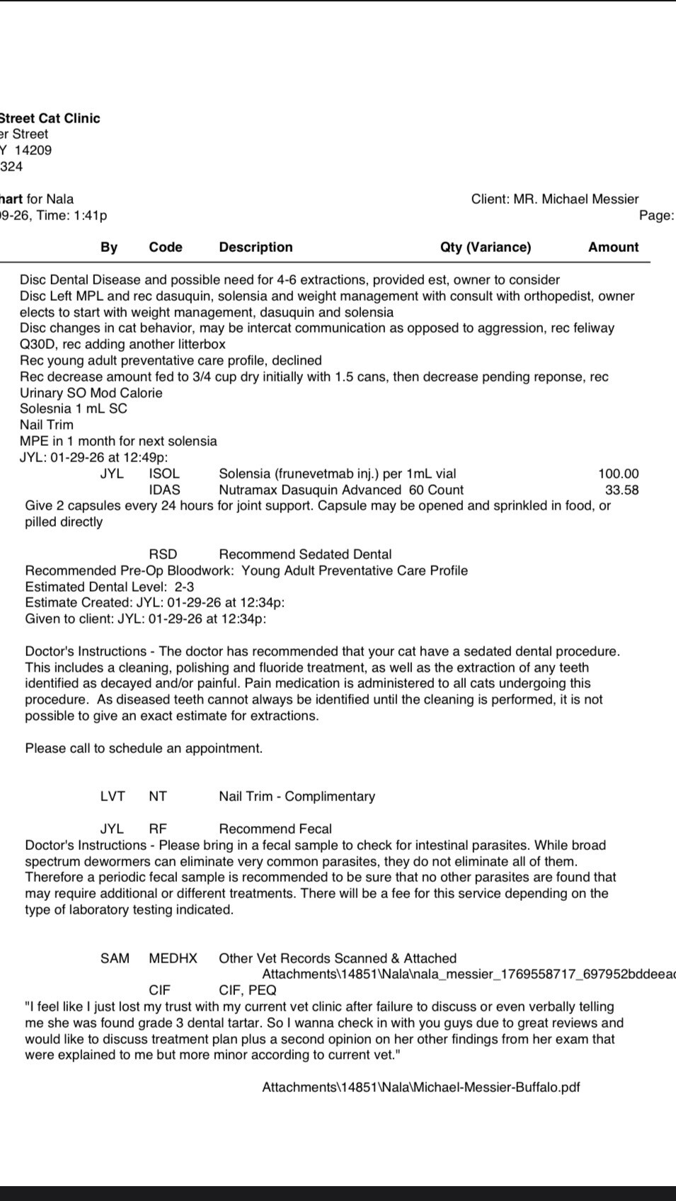 Nala’s diagnosis summary and treatment plan