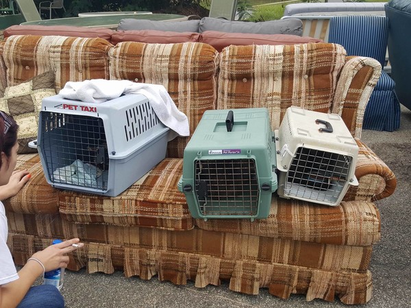 How they were found this am