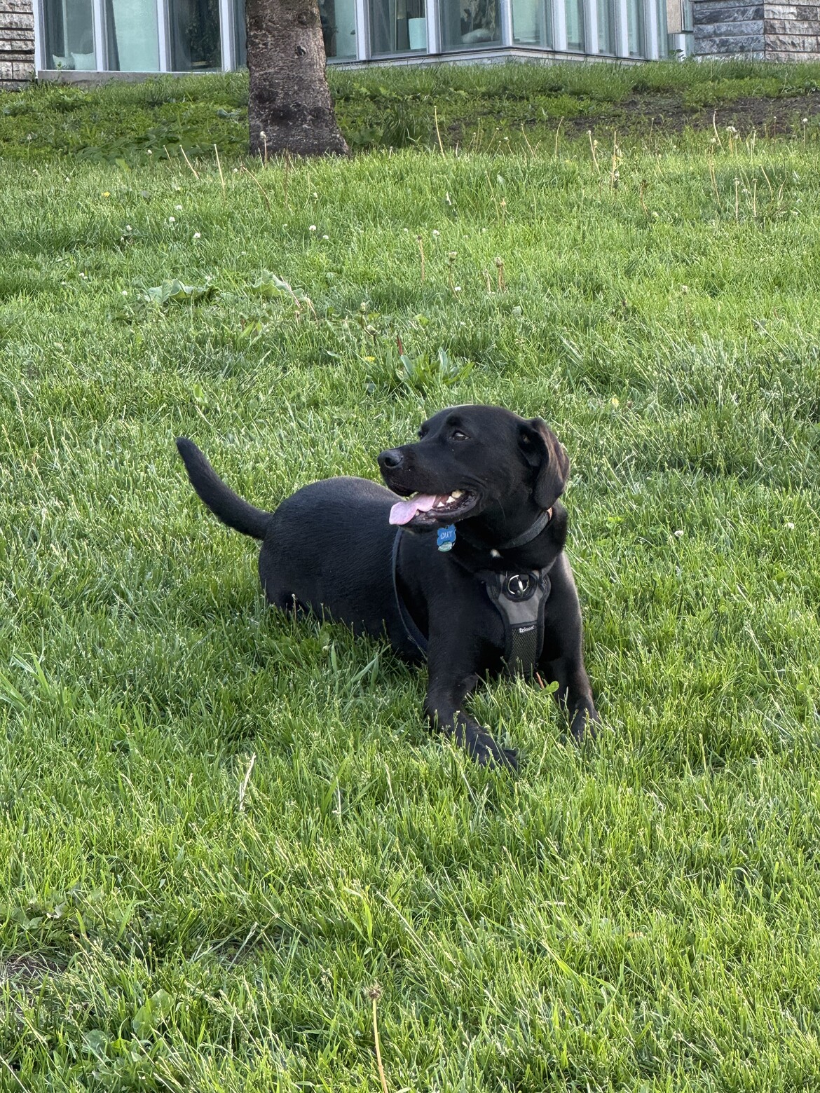 Outdoor time